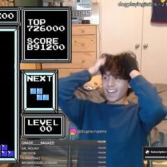 Dog achieves Rebirth in NES Tetris. The game loops back to Level 0 after completing Level 255